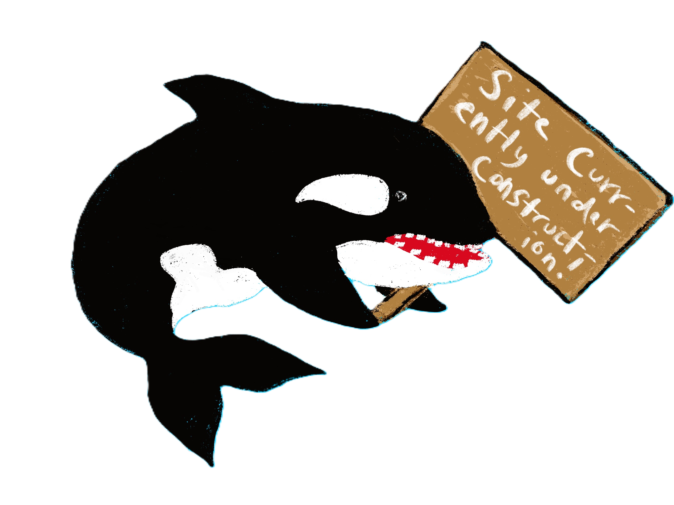 Orca - Click to Enter Site